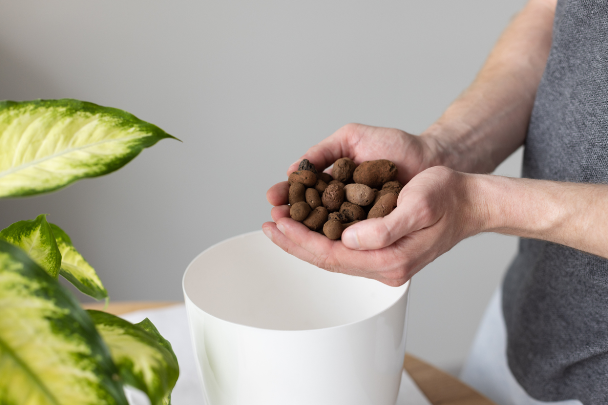 Como fazer drenagem de cultivos em vasos