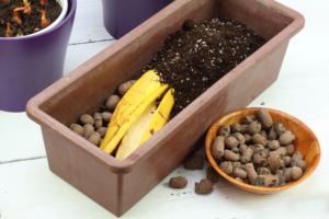 Importância das Cascas de Banana para as plantas e como usar