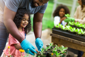 Guia Completo de Jardinagem para Iniciantes