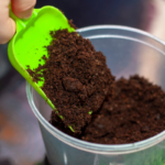 Como Preparar a Terra para plantar hortaliças em vasos