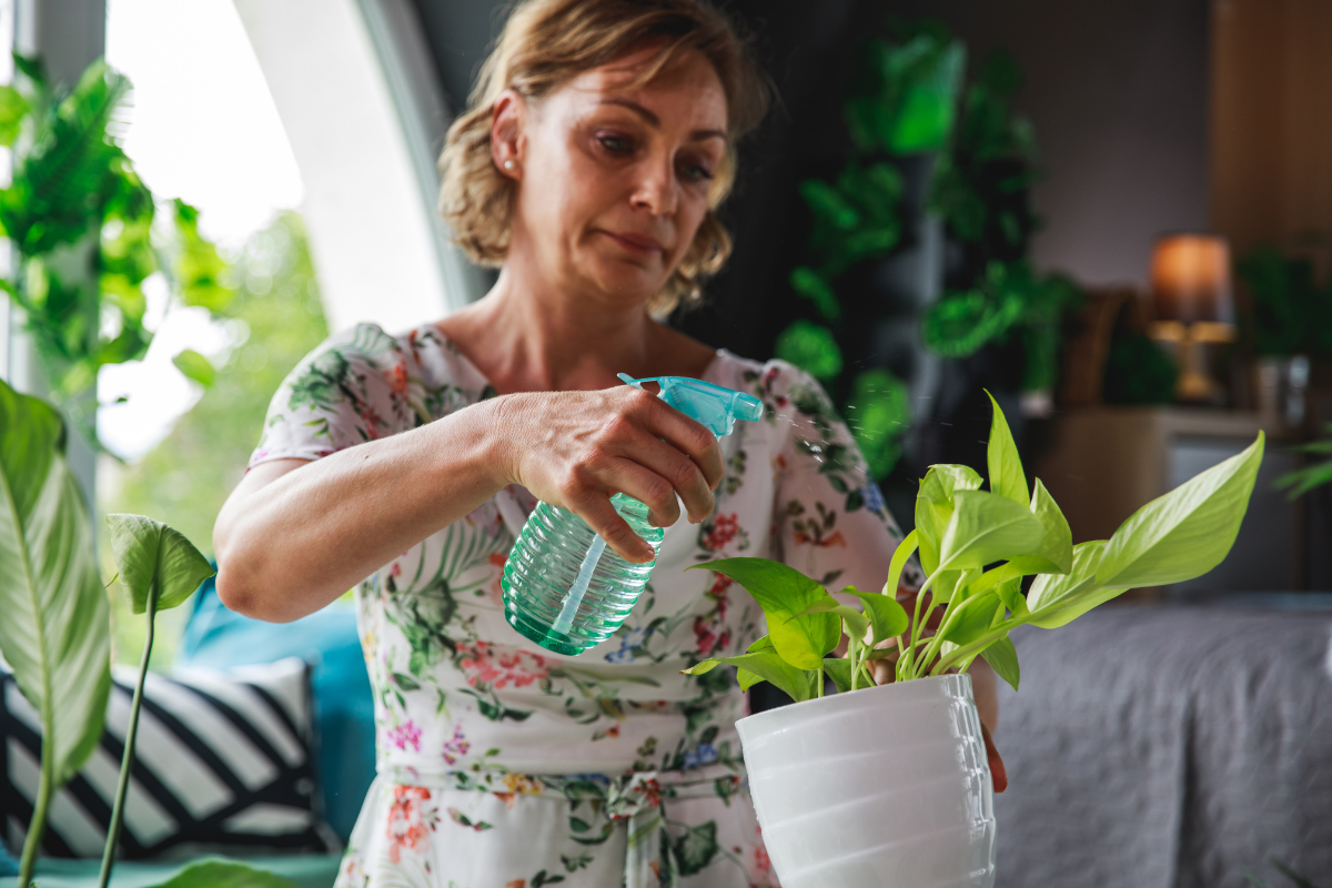 Como e quando regar plantas em vasos: Guia Completo de regas