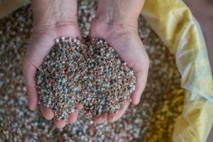 Adubo NPK: O Segredo para Plantas Mais Fortes e Saudáveis