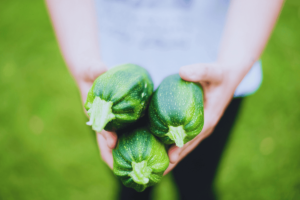 Como Cultivar Abobrinha: passo a passo para colheitas fartas