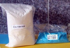 Como Preparar e Usar a Calda Bordalesa em suas Plantas