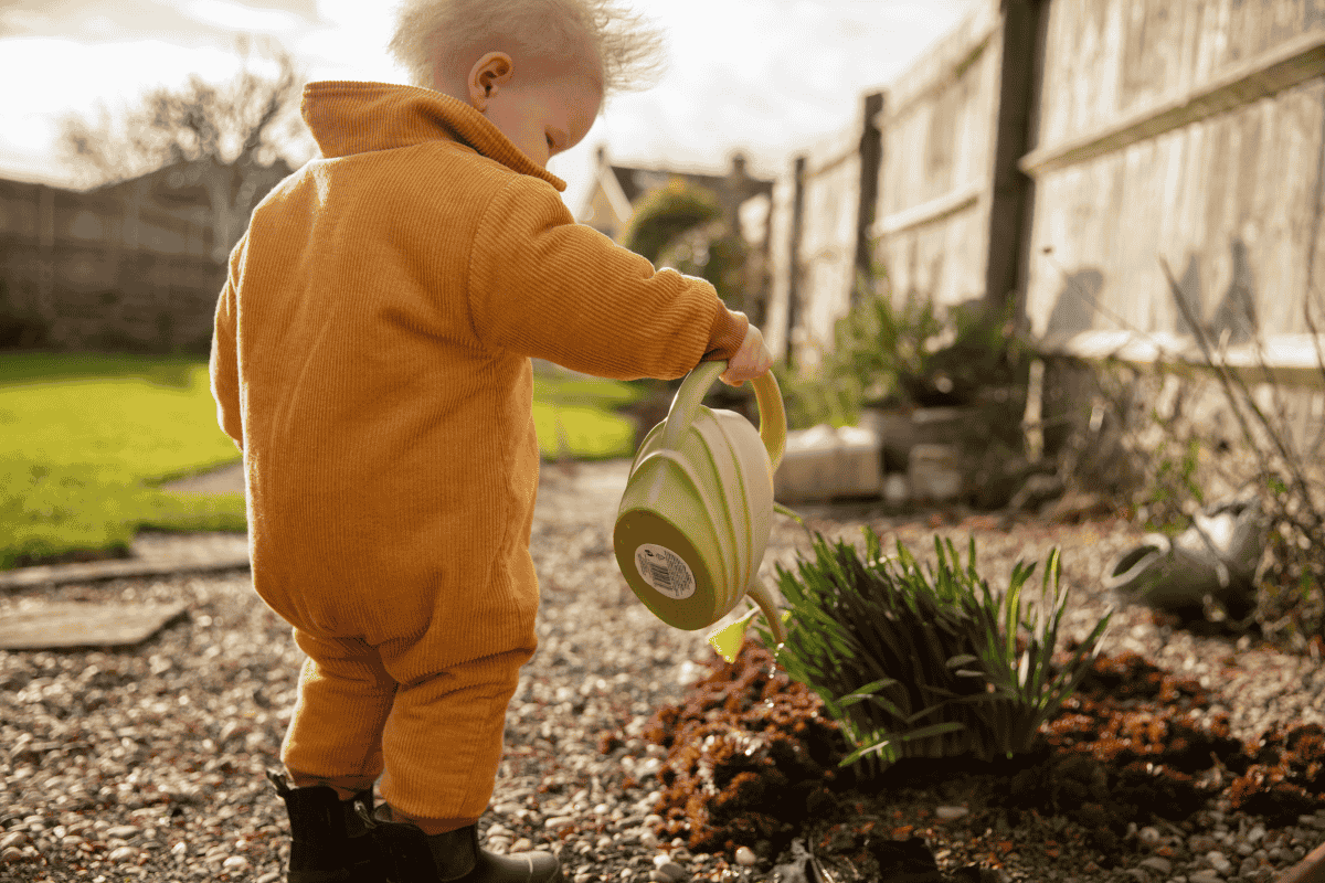 Melhores plantas de jardim para iniciantes