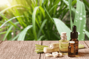 Benefícios do capim-limão para a saúde: aroma, bem-estar