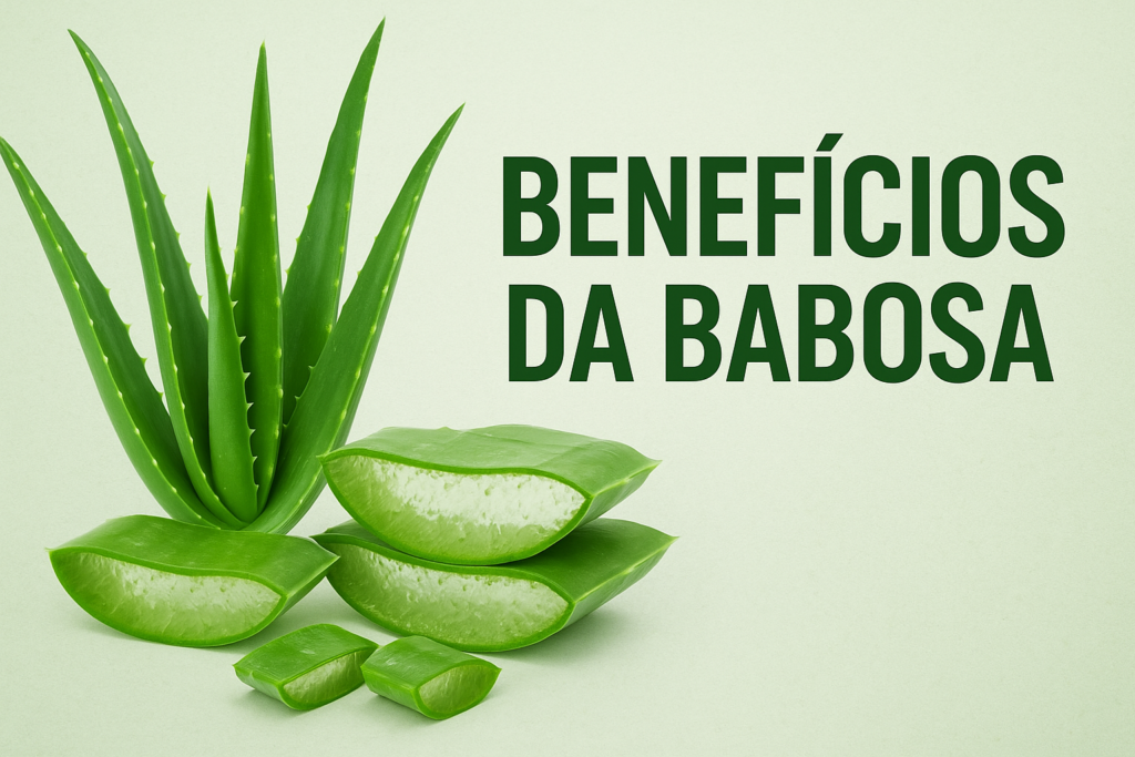 benefícios da babosa