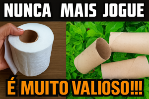 Formas de usar rolos de papel higiênico nas plantas