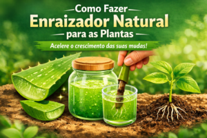 Como fazer enraizador natural e acelerar o crescimento das plantas