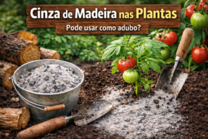 Cinza de madeira nas plantas: pode usar como adubo?