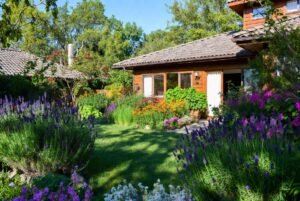 Plantas que espantam insetos naturalmente protegendo casa e jardim