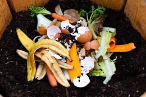 Como fazer adubo caseiro com restos de cozinha (guia completo)