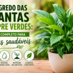 plantas sempre verdes